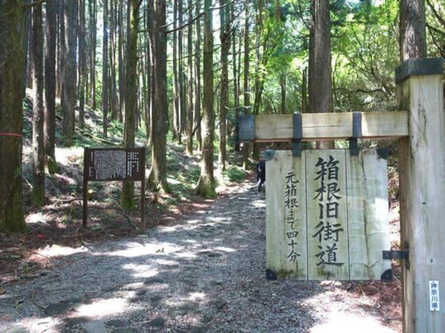 Ek House Hakone Shushinso 箱根修身荘 Villa Екстериор снимка