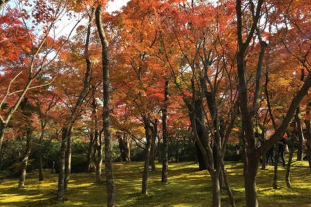 Ek House Hakone Shushinso 箱根修身荘 Villa Екстериор снимка